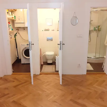 At The Blue Lion And Parking Assistance * Prague