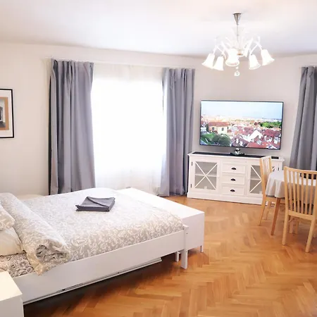 At The Blue Lion And Parking Assistance