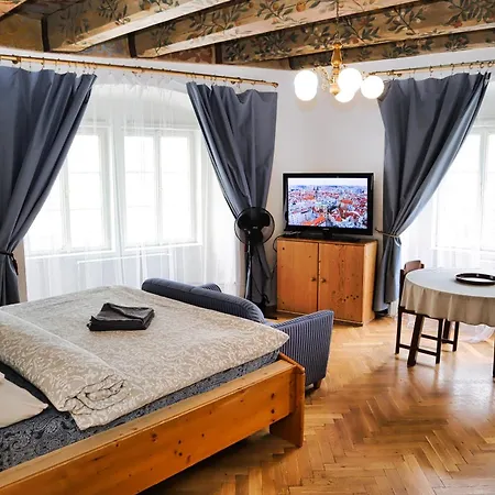 At The Blue Lion & Parking Assistance Apartment Prague