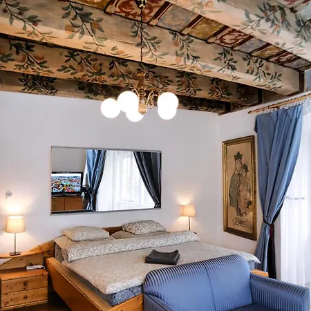 At The Blue Lion And Parking Assistance