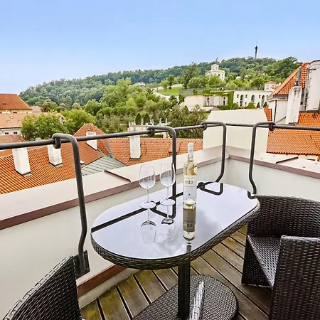 At The Blue Lion & Parking Assistance Prague