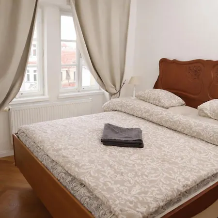 At The Blue Lion And Parking Assistance Praga