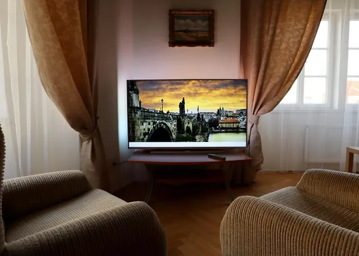 At The Blue Lion And Parking Assistance Prague