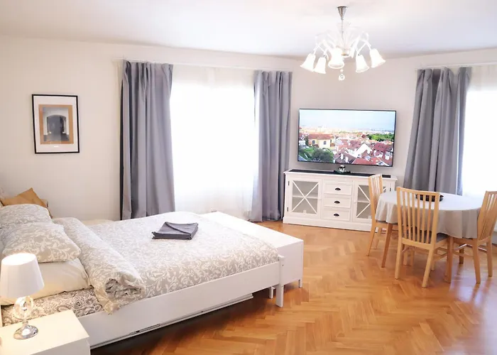 At The Blue Lion And Parking Assistance