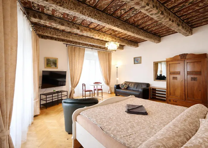 At The Blue Lion And Parking Assistance Prague