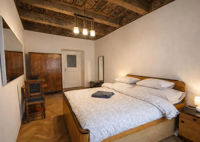 At The Blue Lion And Parking Assistance Prague