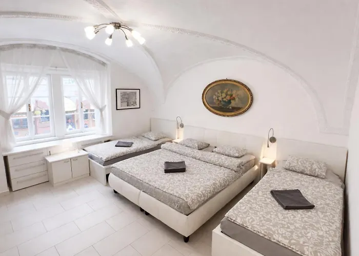 At The Blue Lion And Parking Assistance * Prague